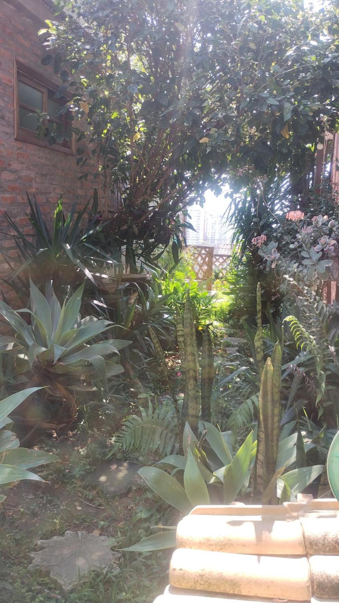 Casa Na Ilha Da Magia Villa Florianopolis Ngoại thất bức ảnh