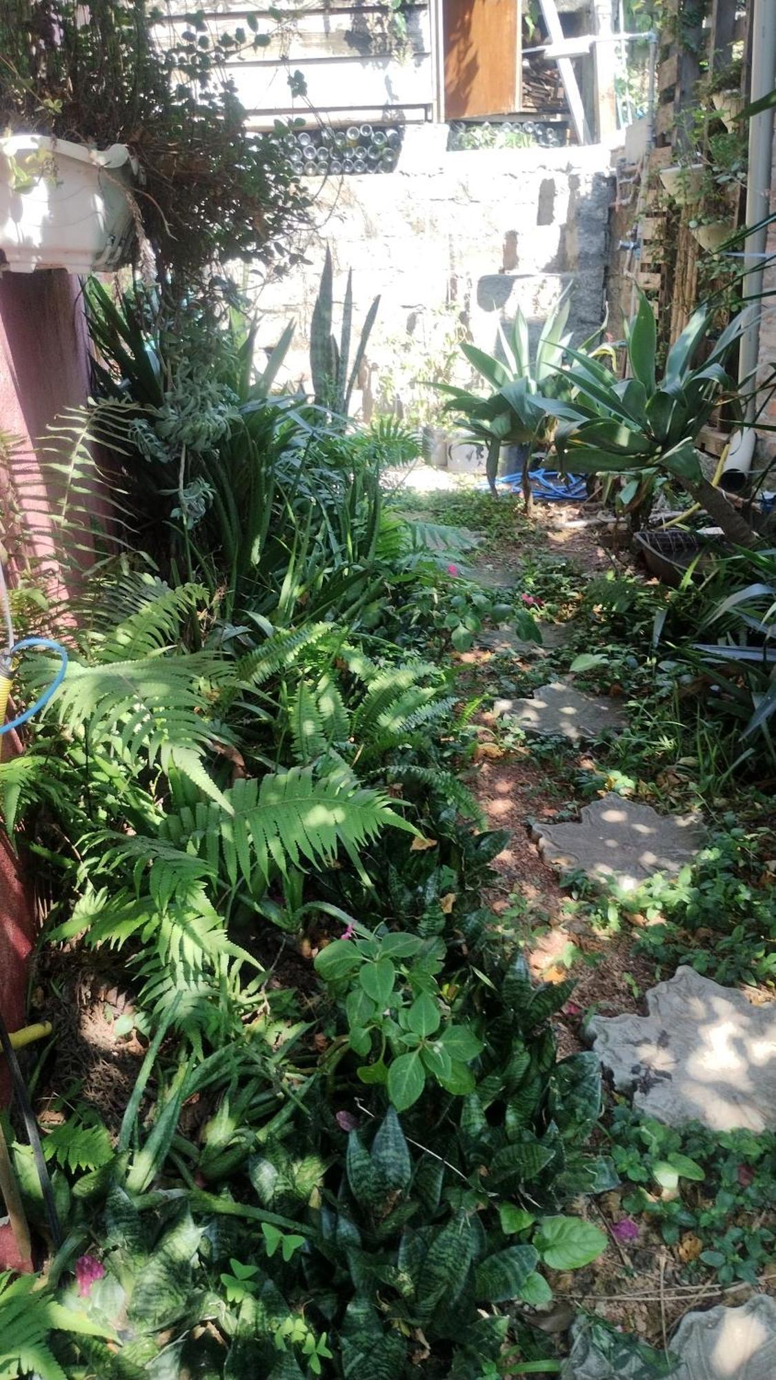 Casa Na Ilha Da Magia Villa Florianopolis Ngoại thất bức ảnh